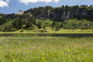 Körbersee, cliff face, wood, meadow, shore, summit Körbersee, cliff face, wood, meadow, shore, summit